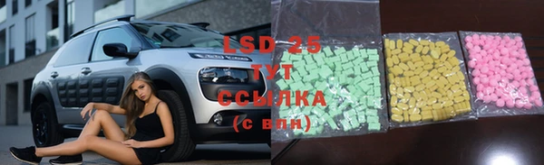 спиды Армянск