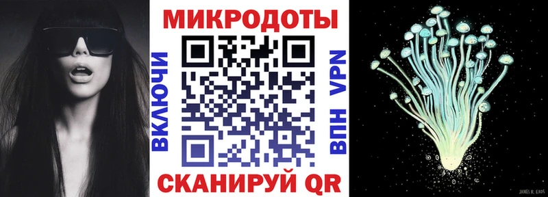 Псилоцибиновые грибы Cubensis Кировск